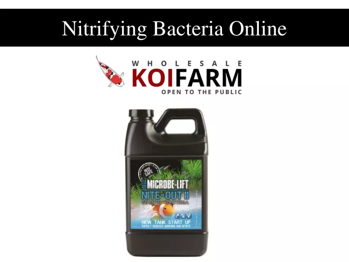 nitrifying bacteria online