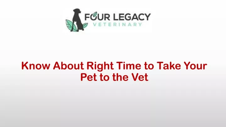 know about right time to take your pet to the vet
