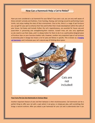 How Can a Hammock Help a Cat to Relax?