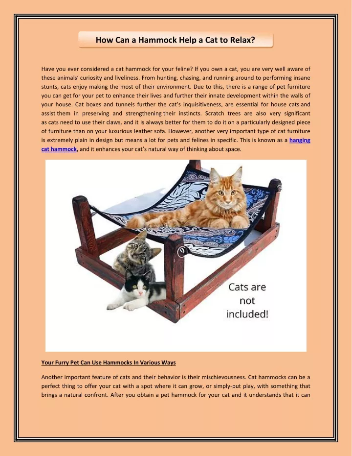 how can a hammock help a cat to relax