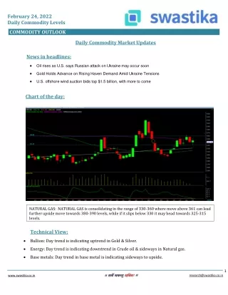 february 24 2022 daily commodity levels