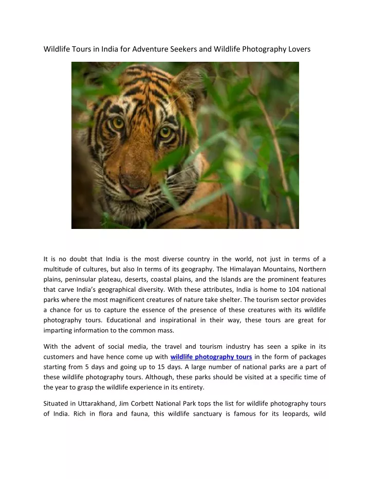 wildlife tours in india for adventure seekers