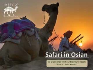 safari in osian