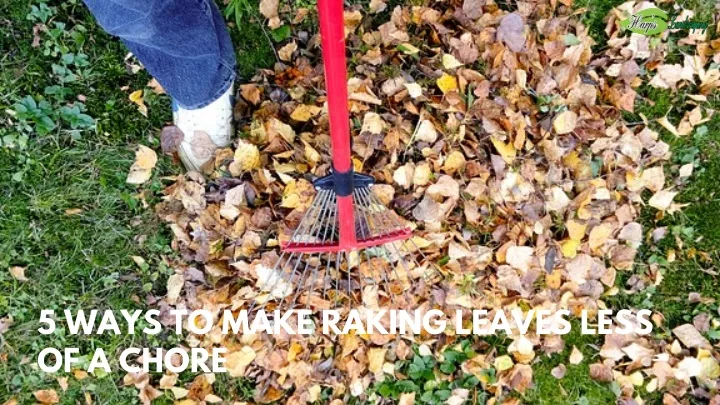 5 ways to make raking leaves less of a chore