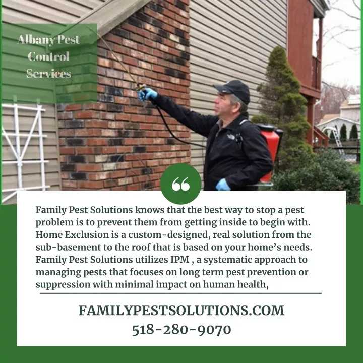 albany pest control services