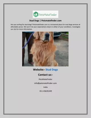 Stud Dogs | Petsmatefinder.com