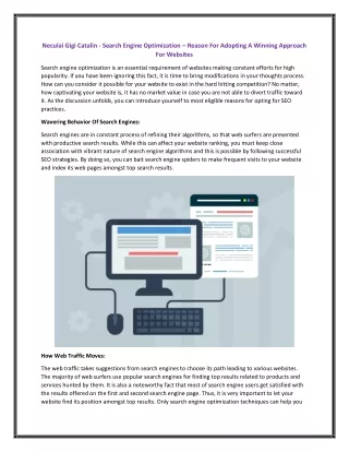 neculai gigi catalin search engine optimization