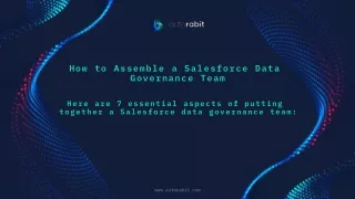 how to assemble a salesforce data governance team