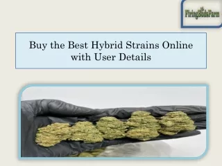Buy the Best Hybrid Strains Online with User Details