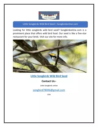 Little Songbirds Wild Bird Seed | Songbirdonline.com