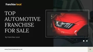 Top Automotive Franchise For Sale