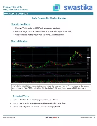 february 25 2022 daily commodity levels