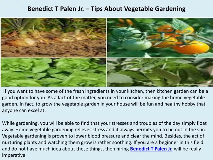 benedict t palen jr tips about vegetable gardening