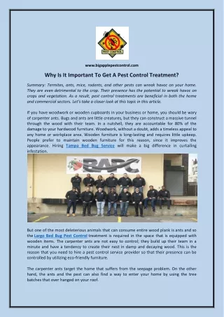 Why Is It Important To Get A Pest Control Treatment