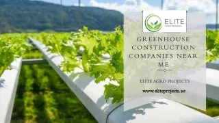 Greenhouse construction company in UAE