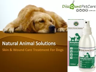 Natural Animal Solutions Itchy Scratch For Dog | DiscountPetCare