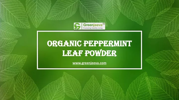 organic peppermint organic peppermint leaf powder