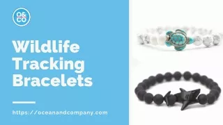 Buy Wildlife Tracking Bracelets - Ocean & Company