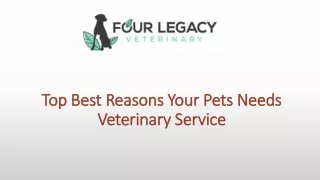 Top Best Reasons Your Pets Needs Veterinary Service