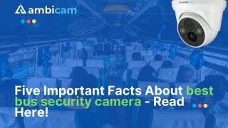 five important facts about best bus security