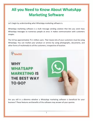 All you Need to Know About WhatsApp Marketing Software
