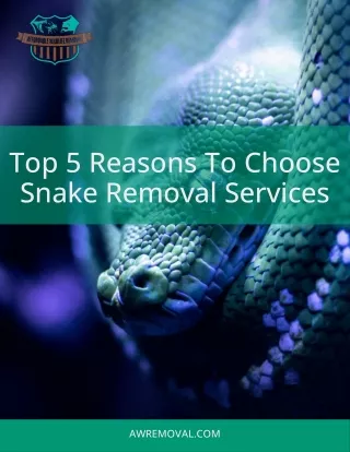 top 5 reasons to choose