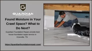 Found Moisture in Your Crawl Space What to Do Next
