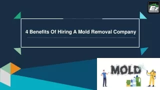 4 Benefits Of Hiring A Mold Removal Company
