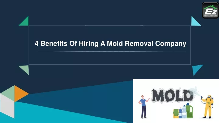 4 benefits of hiring a mold removal company