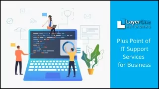 plus point of it support services for business