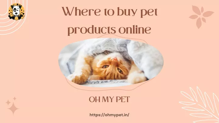 where to buy pet products online