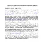 WordPress Development Services - slide 1