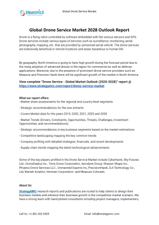 global drone service market