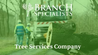 Tree Services Company