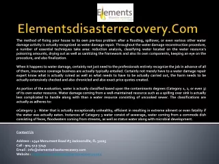 elementsdisasterrecovery com