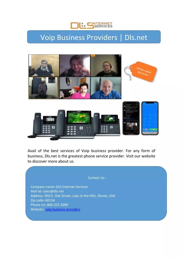 voip business providers dls net