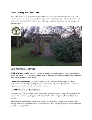 grass cutting and lawn care