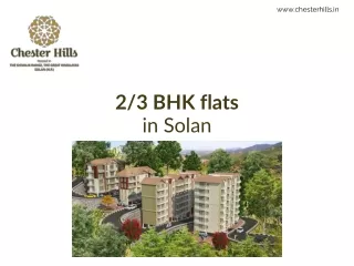 2/3 BHK flats in Solan