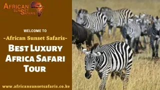 Best Luxury Africa Safari Tour