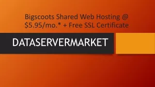 Bigscoots Shared Web Hosting @ $5