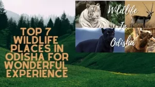 Top wildlife places in Odisha