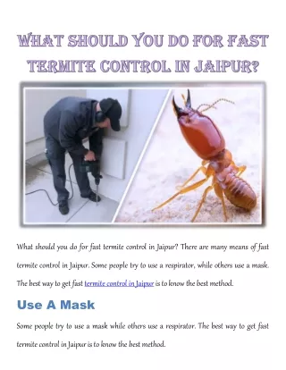 What Should You Do for Fast TERMITE CONTROL IN JAIPUR?
