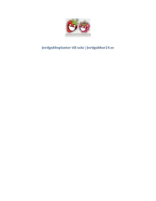 Bästa jordgubbsplantor | Jordgubbar24.se