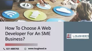 How to Choose a Web Developer for an SME Business