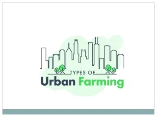 Types Of Urban Farming