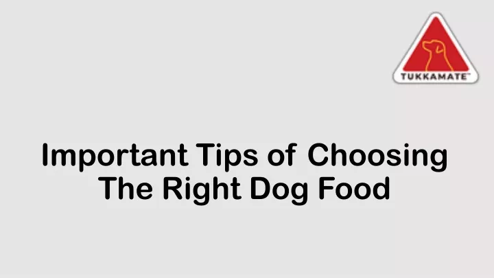 important tips of choosing the right dog food