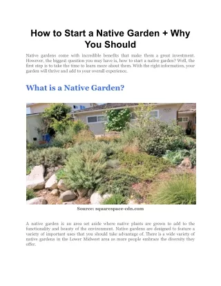 how to start a native garden why you should