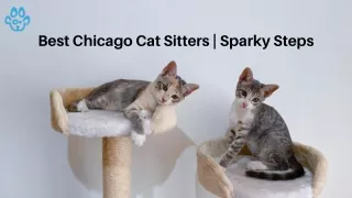 best chicago cat sitters sparky steps