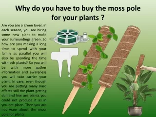 Why do you have to buy the moss pole for your plants ?