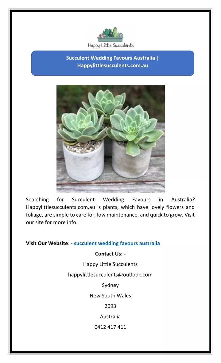 succulent wedding favours australia